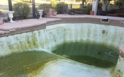 Why Is My Pool Green & How to Fix It?